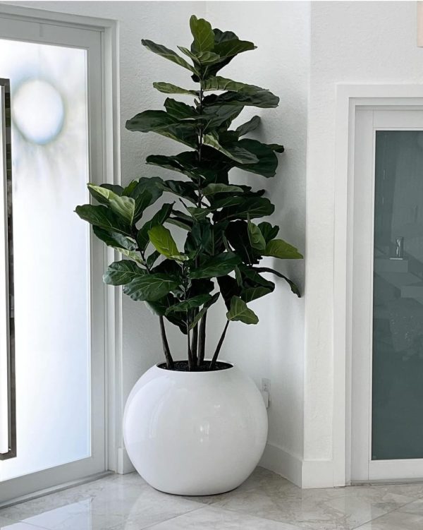 Vaso Oval Grande