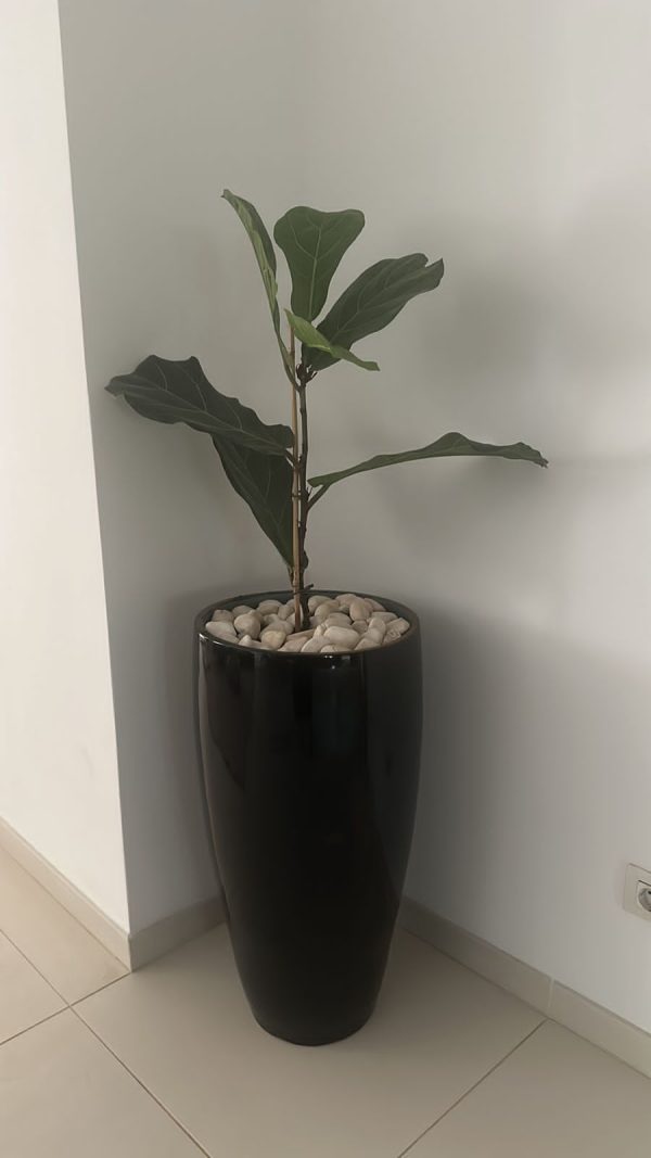Vaso Afunilado Maior - Image 2