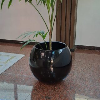 Vaso Oval Maior